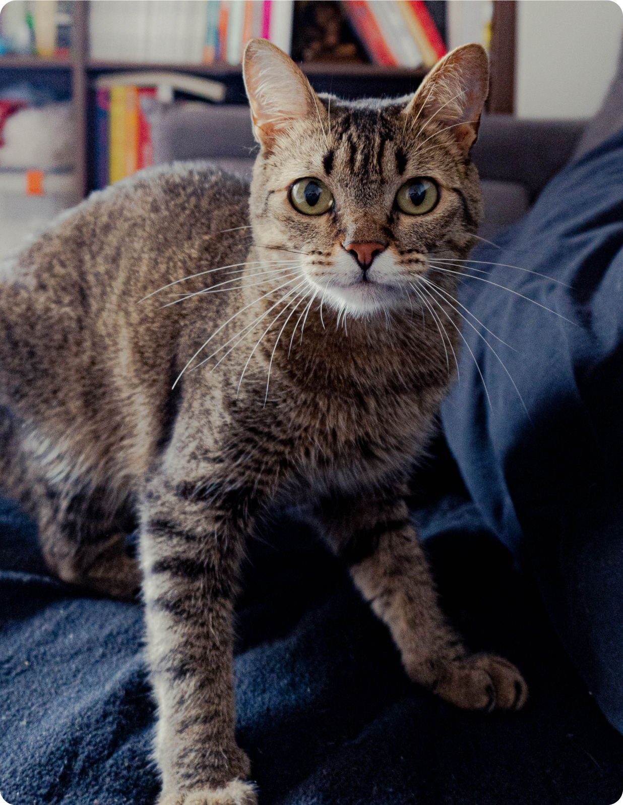 foto Marta