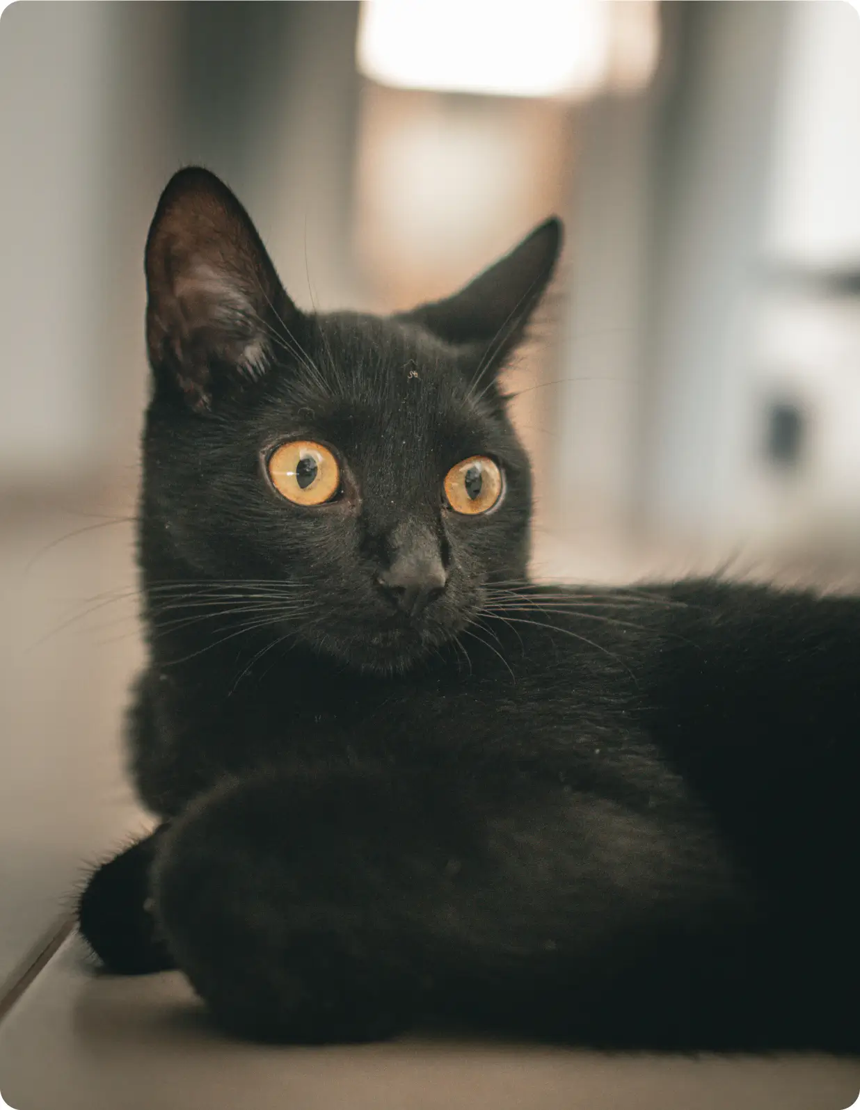 foto Marta